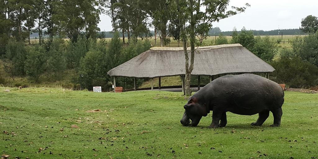 Plettenberg Bay Game Reserve: The Baroness Safari Lodge Экстерьер фото